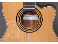 Alhambra CS-1 CW E1 incl. Gig Bag Alhambra CS-1 CW E1 incl. Gig Bag